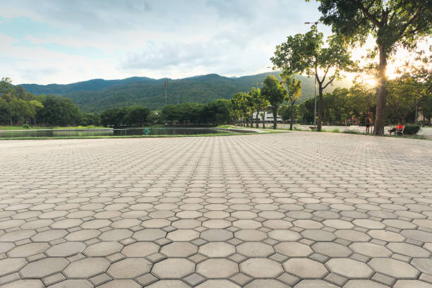 Best Interlocking Driveway Pavers  in Wallburg, NC